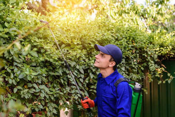 Il giovane giardiniere felice in tuta blu e guanti protettivi spruzza erbicida, fungicida, insetticida su foglie di cespuglio - Foto, immagini