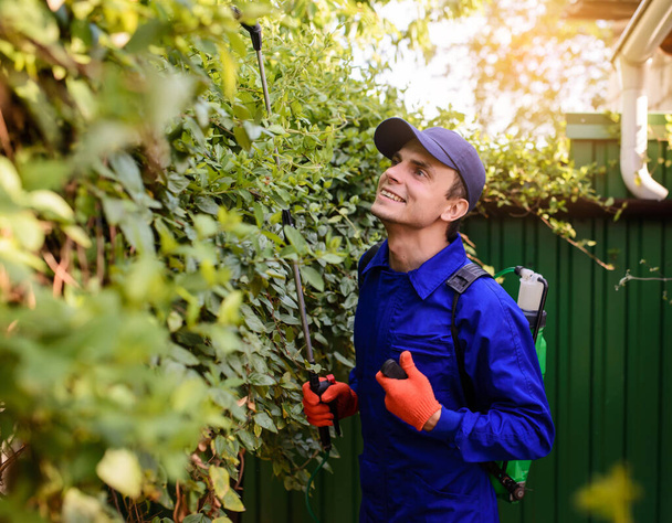 Młody szczęśliwy ogrodnik w niebieskich kombinezonach i rękawiczkach ochronnych spryskuje liśćmi krzewu herbicydami, grzybobójcami, insektycydami - Zdjęcie, obraz