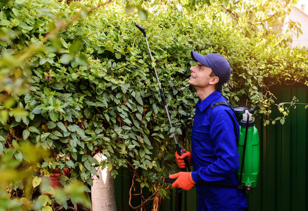 Junger glücklicher Mann Gärtner in blauen Overalls und Schutzhandschuhen sprüht Herbizid, Fungizid, Insektizid auf ein Buschblatt - Foto, Bild