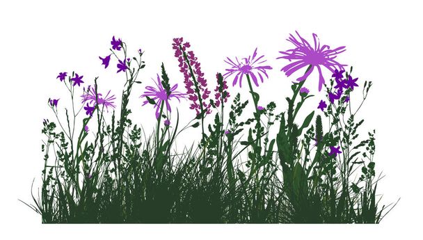 Silhouette of green grass with Violet flowers. Vector illustration - Vektor, Bild