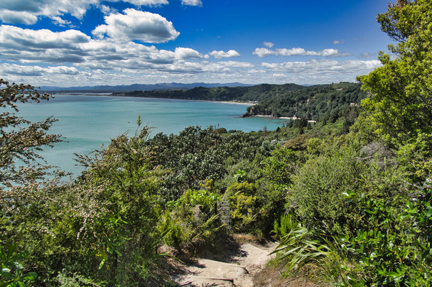 Stezka přes svěží zelený les vedoucí dolů na malebné pobřeží zátoky hojnosti a Otarawairere Bay, v blízkosti Whakatane, Severní ostrov, Nový Zéland - Fotografie, Obrázek