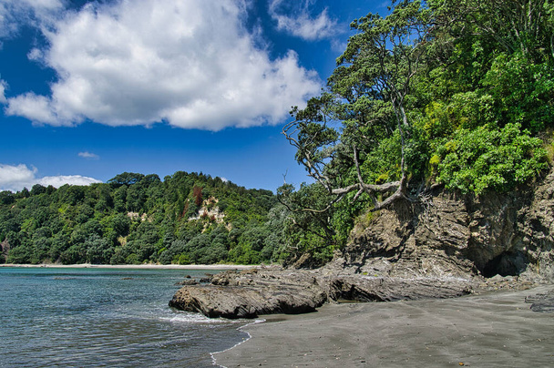 The scenic coast with rocks, black sand beach and forest of Otarawairere Bay, near Whakatane, North Island, New Zealand - Fotoğraf, Görsel