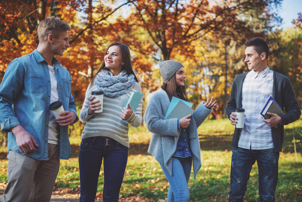 Grupo de jovens estudantes enquanto caminham no parque de outono
 - Foto, Imagem