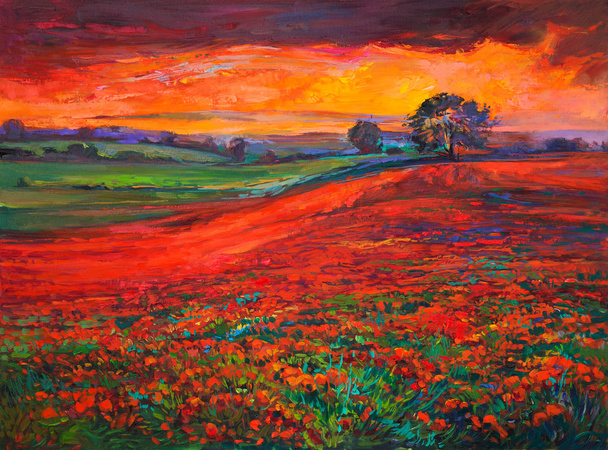 Poppy fields - Photo, Image