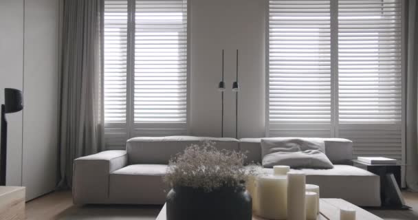 Vero appartamento con soggiorno. design minimalista con colori bianco e grigio - Filmati, video