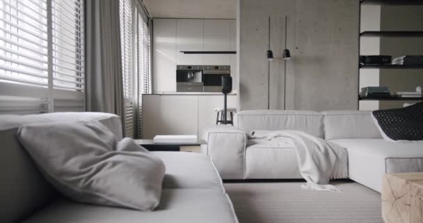 Vero appartamento con soggiorno e cucina. design minimalista con cemento - Filmati, video