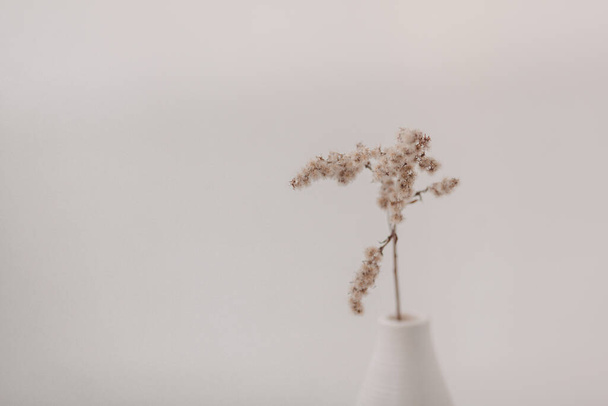 Beige dry flowers in a white vase. White table. - Zdjęcie, obraz