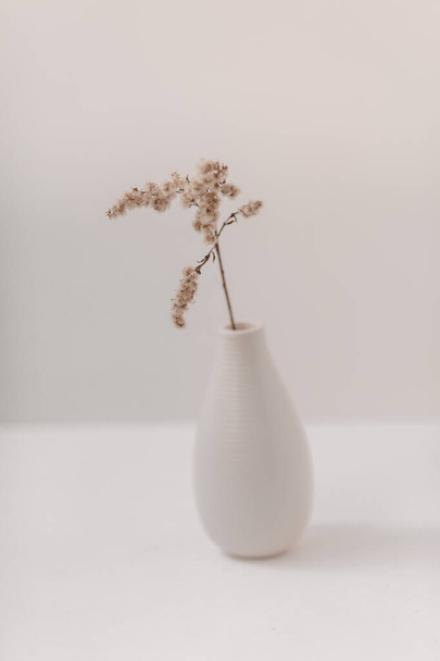 Beige dry flowers in a white vase. White table. - 写真・画像