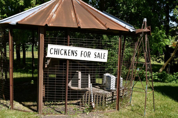 Une poulailler de fortune créée à partir d'un berceau de maïs métallique annonce la vente de poulets - Photo, image