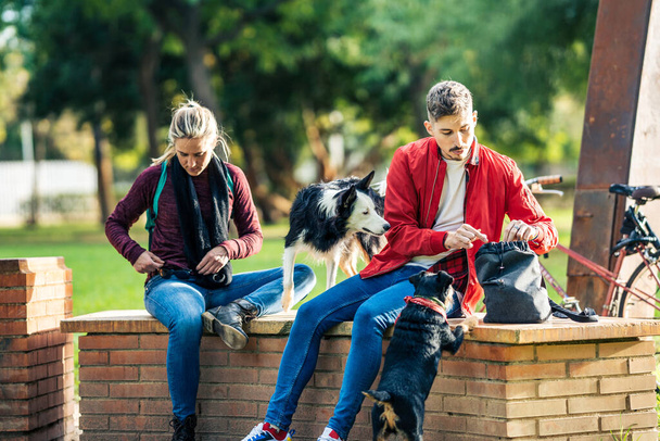 Deux amis assis sur un mur de briques d'un parc avec leurs chiens - Photo, image