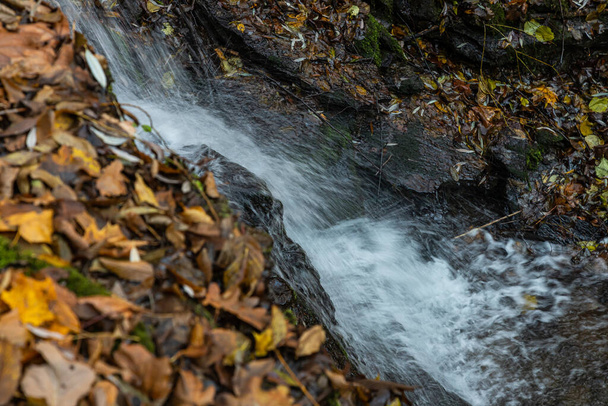 Tranquil waterfall scenery in the middle of autumn forest. - Photo, image