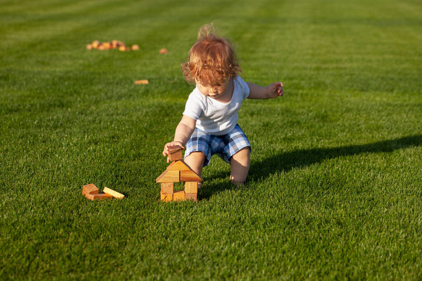 Little child play in park. Portrait of a happy baby in grass field. - Photo, Image