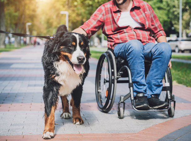 Happy young man with a physical disability who uses wheelchair with his dog. - Foto, Imagem