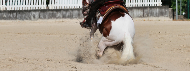 Δυτικό άλογο με αναβάτη καλπάζοντας με ένα μακρύ χαλινάρι. - Φωτογραφία, εικόνα