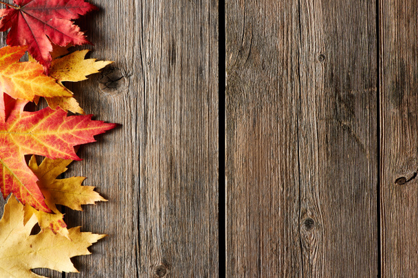 Hojas de arce de otoño sobre fondo de madera
 - Foto, imagen