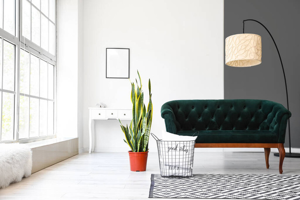 Interno di soggiorno luminoso con divano verde, pianta d'appartamento e lampada da terra - Foto, immagini