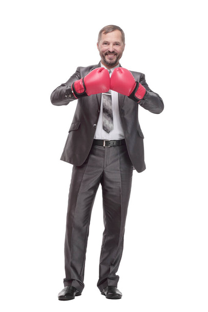 business man in Boxing gloves. isolated on a white background. - Valokuva, kuva