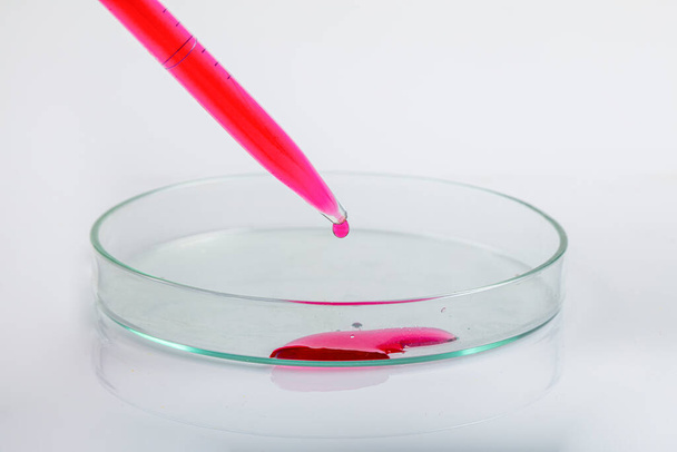Laboratorní pipeta s kapkou červené tekutiny přes Petriho misky s červeným roztokem biologické analýzy kontaminovaným růstem infekčních bakterií pro biotechnologický experiment ve vědecké výzkumné laboratoři. - Fotografie, Obrázek