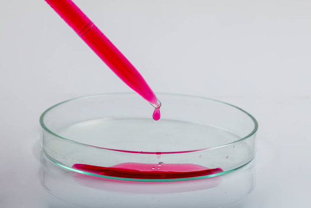 Laboratorní pipeta s kapkou červené tekutiny přes Petriho misky s červeným roztokem biologické analýzy kontaminovaným růstem infekčních bakterií pro biotechnologický experiment ve vědecké výzkumné laboratoři. - Fotografie, Obrázek