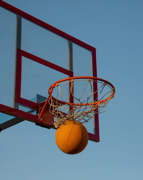 Basketball. The basketball ball hit the basket. This is a victory. Goal achievement and success. This is a win.  - 写真・画像