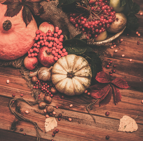 Thanksgiving day autumnal still life - Photo, Image
