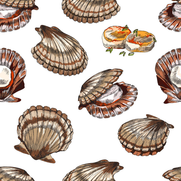 Scallop or clam seamless pattern in hand drawn sketch style, vector illustration on white background. - Вектор, зображення