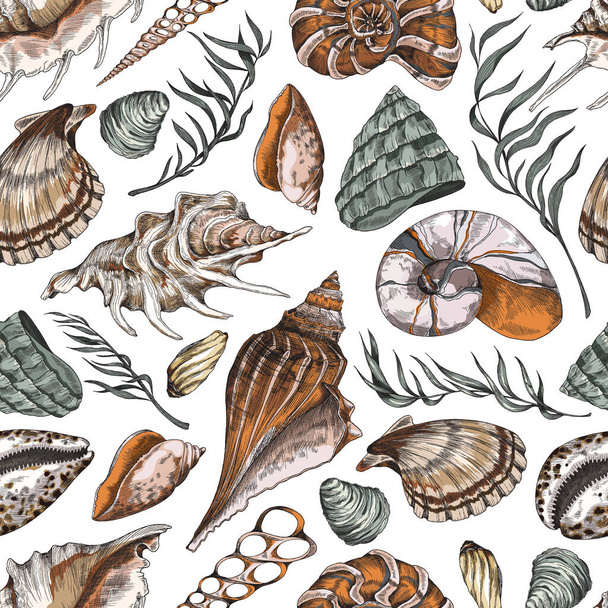 Seamless pattern design with hand drawn shells, engraving vector illustration. - Vektori, kuva