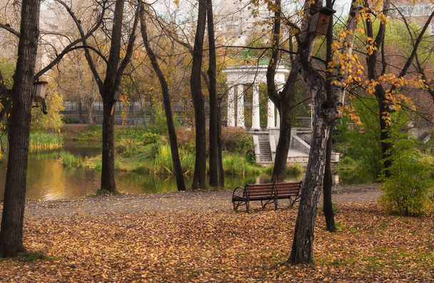 Autumn nature in a city park on a sunny day. An old white rotunda with columns and a round roof is located on the island of the lake. Yellow leaves flying around underfoot. Wooden benches by the paths  - Фото, изображение