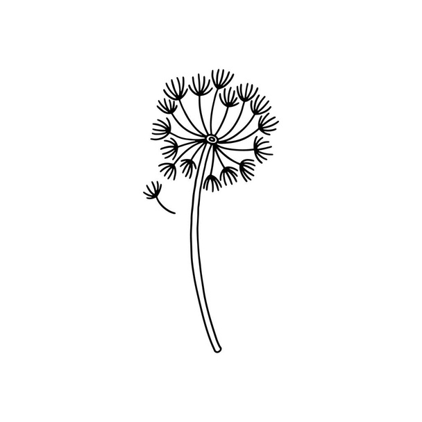 Dandelion weed flower black contour vector illustration. Simple doodle spring meadow flower. - Vektor, Bild