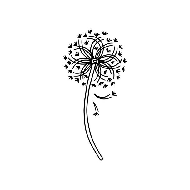 Beautiful airy, fluffy dandelion in abstract style vector illustration isolated - Vecteur, image