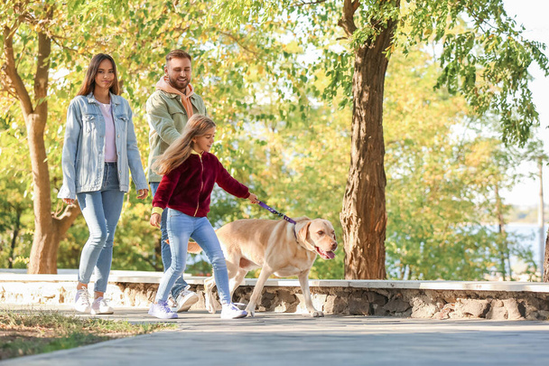 Happy family with Labrador dog walking in park - 写真・画像