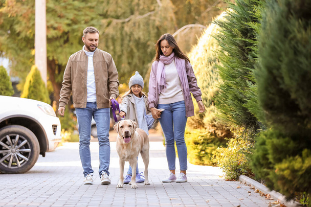 Happy family with cute Labrador dog walking on street - 写真・画像