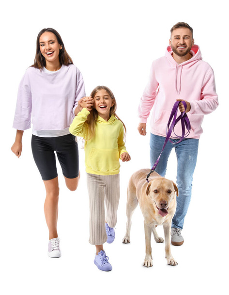 Happy parents with cute little daughter and Labrador dog on white background - Foto, Imagem