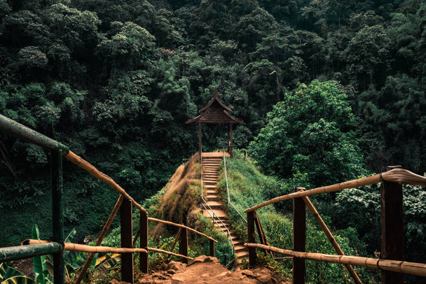 Road to the beautiful wooden Viewpoint in the fresh green forest in Indochina. Tad Yuang waterfall, Pakse, Bolaven Plateu, Laos - Fotografie, Obrázek