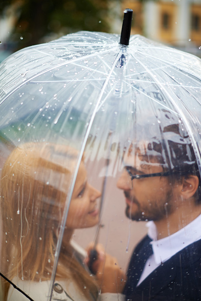 Affectionate couple under umbrella - Valokuva, kuva