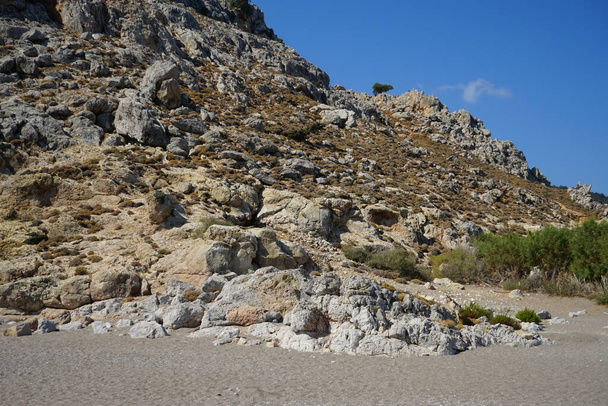 山の中腹に野生の山ヤギ。ギリシャのロードス島コリンピア   - 写真・画像