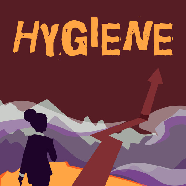 Conceptual display Hygiene. Business approach study of science of the establishment and maintenance of health Lady Walking Towards Mountains With An Arrow Marking Success - Foto, Imagem