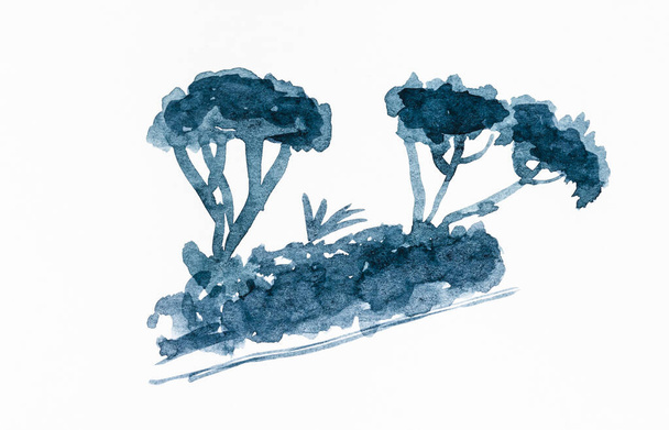 boceto de silueta de arboleda de pinos de piedra italianos mano dibujada por acuarela sobre papel blanco texturizado - Foto, imagen