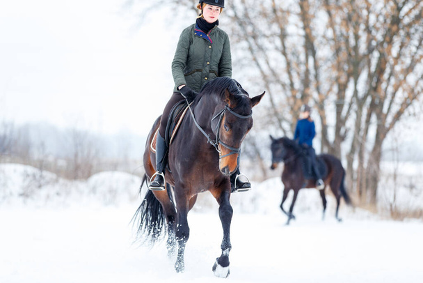 Young woman riding horse in winter park on the snow - 写真・画像
