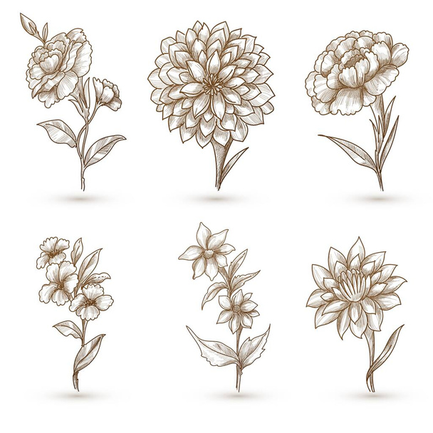 美しい芸術的な花のセットデザイン - ベクター画像