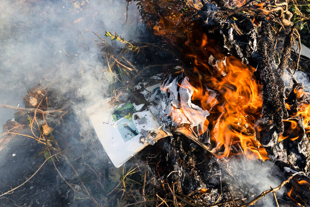 quema de libro de fotografía en hoguera de ramas cortadas en el jardín rural en el día soleado - Foto, imagen