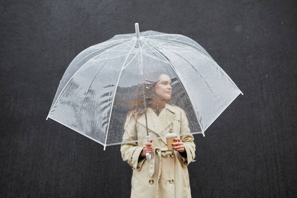 Mujer de pie bajo el paraguas
 - Foto, Imagen