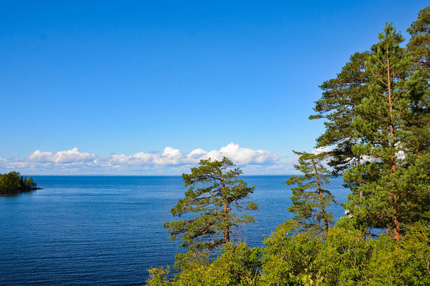 Piękny widok na jezioro z białymi chmurami na błękitnym niebie. Zielone sosny na pierwszym planie, soczyste, letnie tło karelskiej przyrody. Koncepcja urlopu. - Zdjęcie, obraz