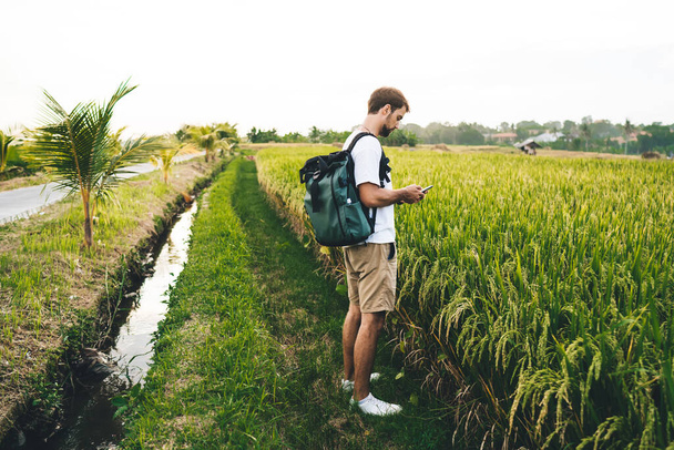 Side view of male tourist with rucksack chatting on cellphone while standing between green agricultural plantation and ditch on summer day - Φωτογραφία, εικόνα