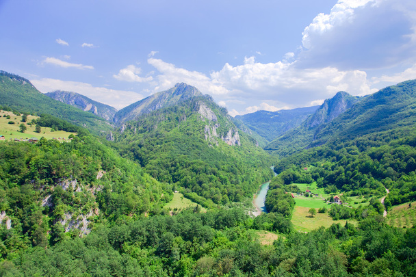 górskiej, Czarnogóra  - Zdjęcie, obraz