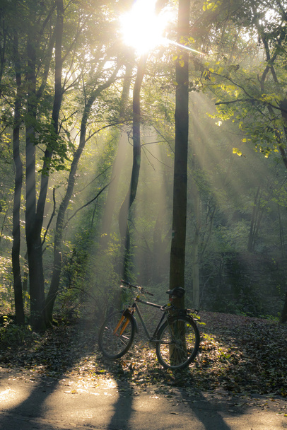 Bicycle and morning - Photo, Image