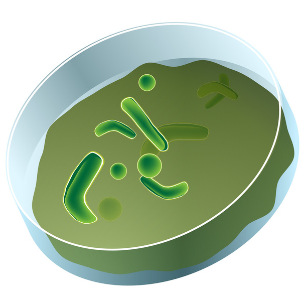 Petri Dish of Bacteria - Wektor, obraz