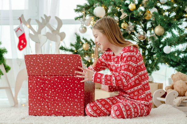 Child in Christmas time - Foto, Imagem