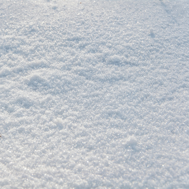 Nieve fresca
 - Foto, Imagen