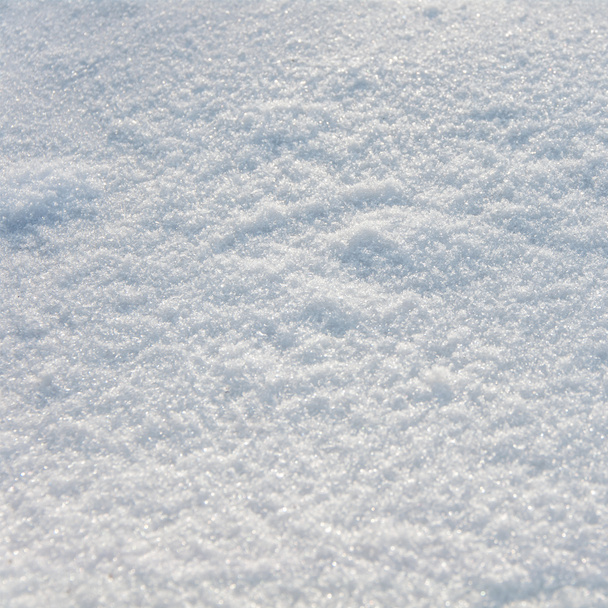 Nieve fresca
 - Foto, Imagen